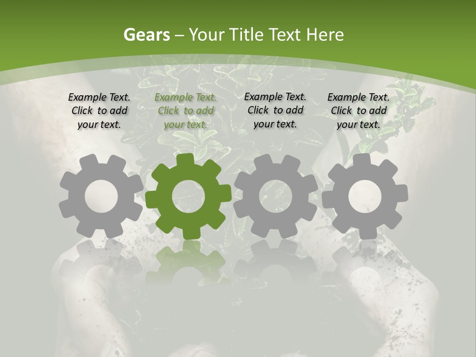 Grow New Life PowerPoint Template