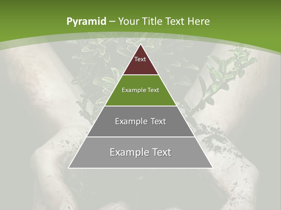 Grow New Life PowerPoint Template