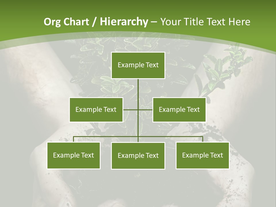 Grow New Life PowerPoint Template