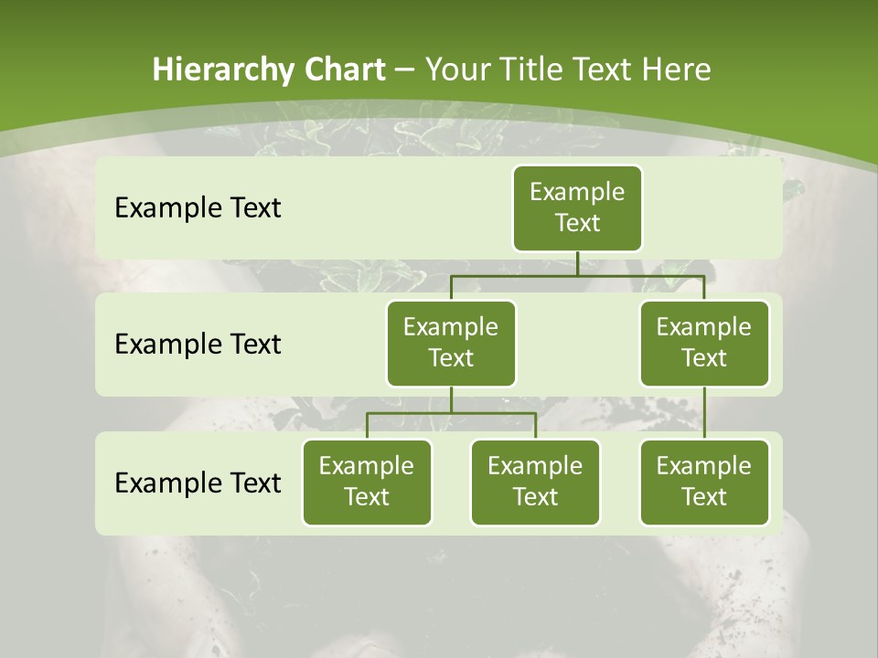 Grow New Life PowerPoint Template
