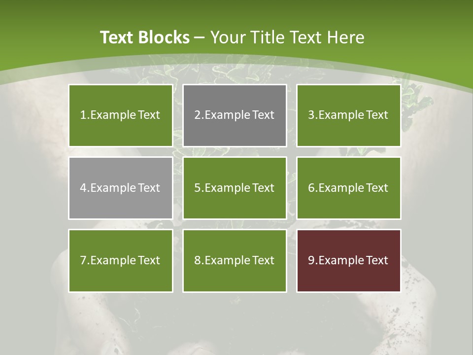 Grow New Life PowerPoint Template