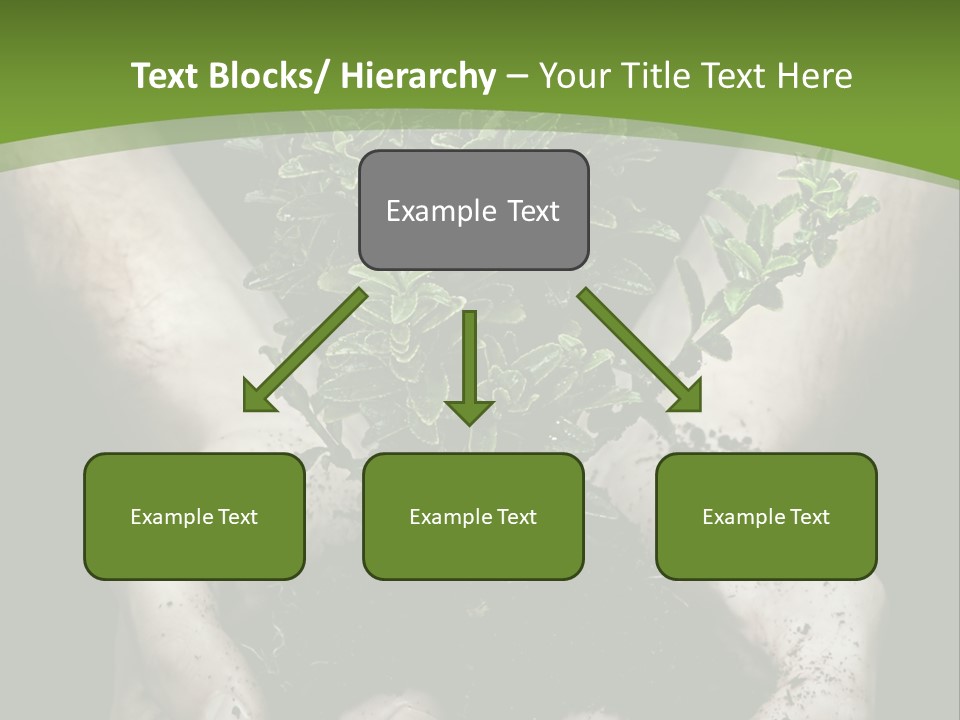 Grow New Life PowerPoint Template