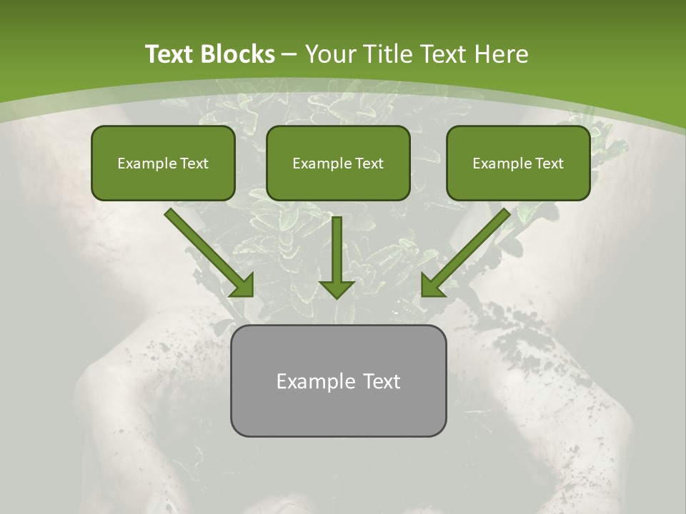 Grow New Life PowerPoint Template