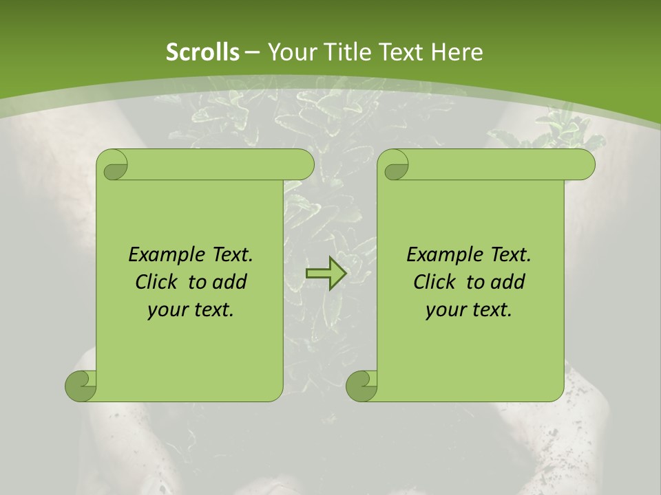 Grow New Life PowerPoint Template