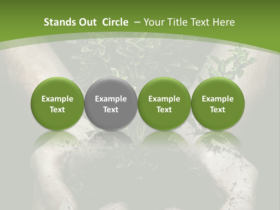 Grow New Life PowerPoint Template