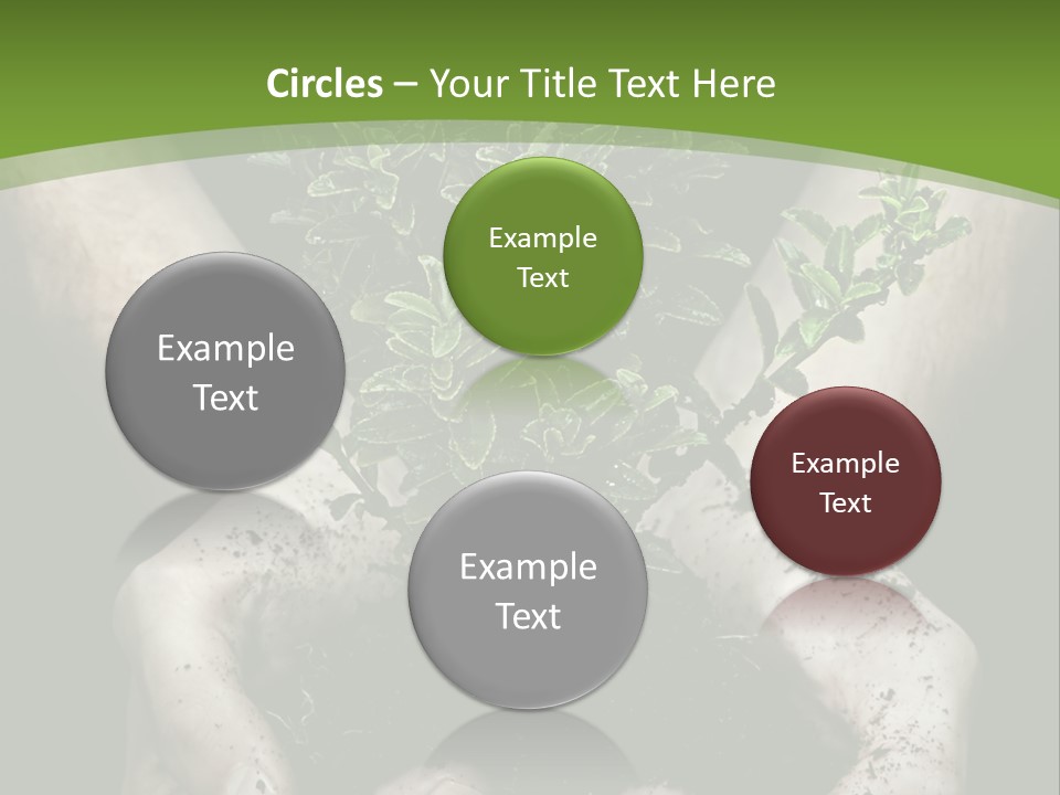 Grow New Life PowerPoint Template