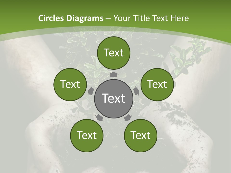 Grow New Life PowerPoint Template