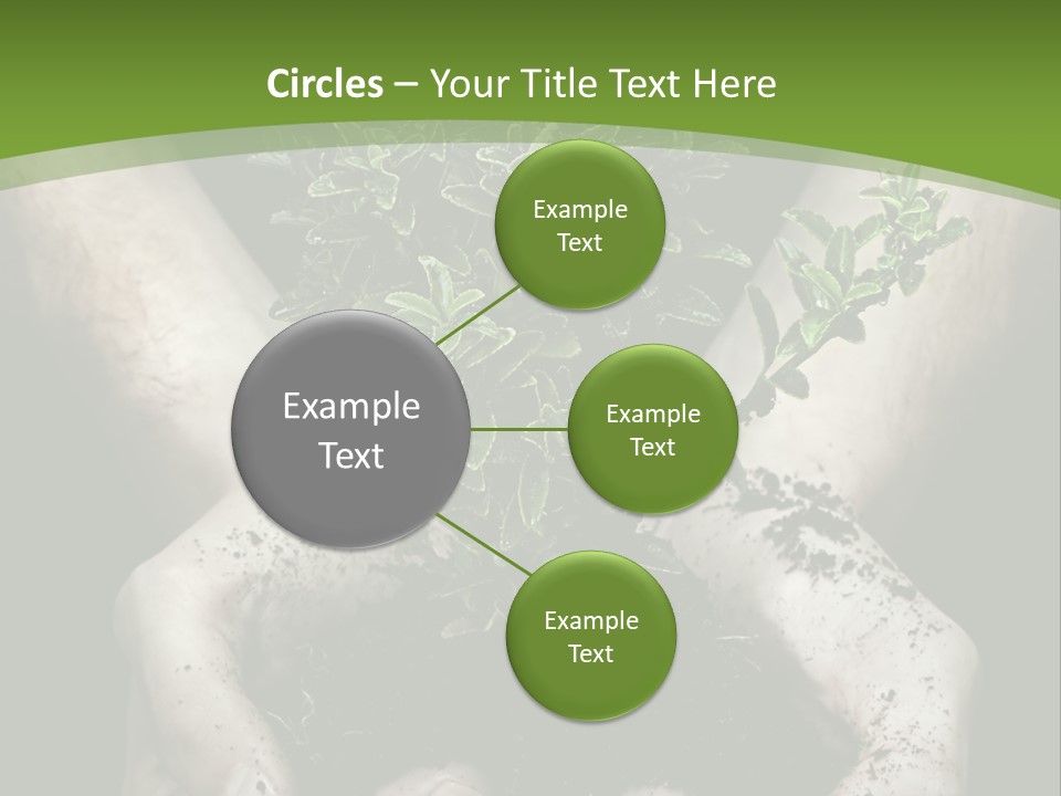 Grow New Life PowerPoint Template