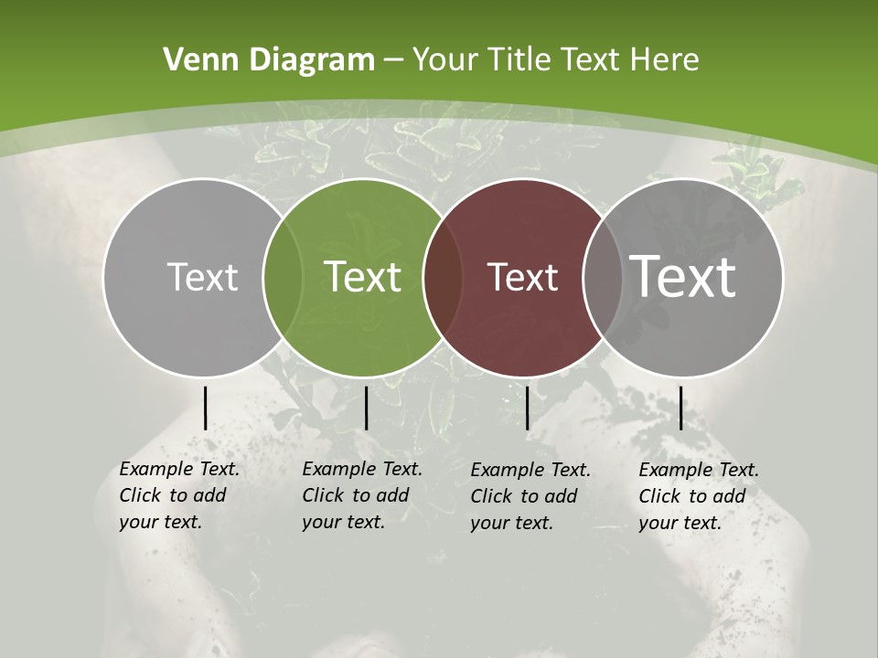 Grow New Life PowerPoint Template