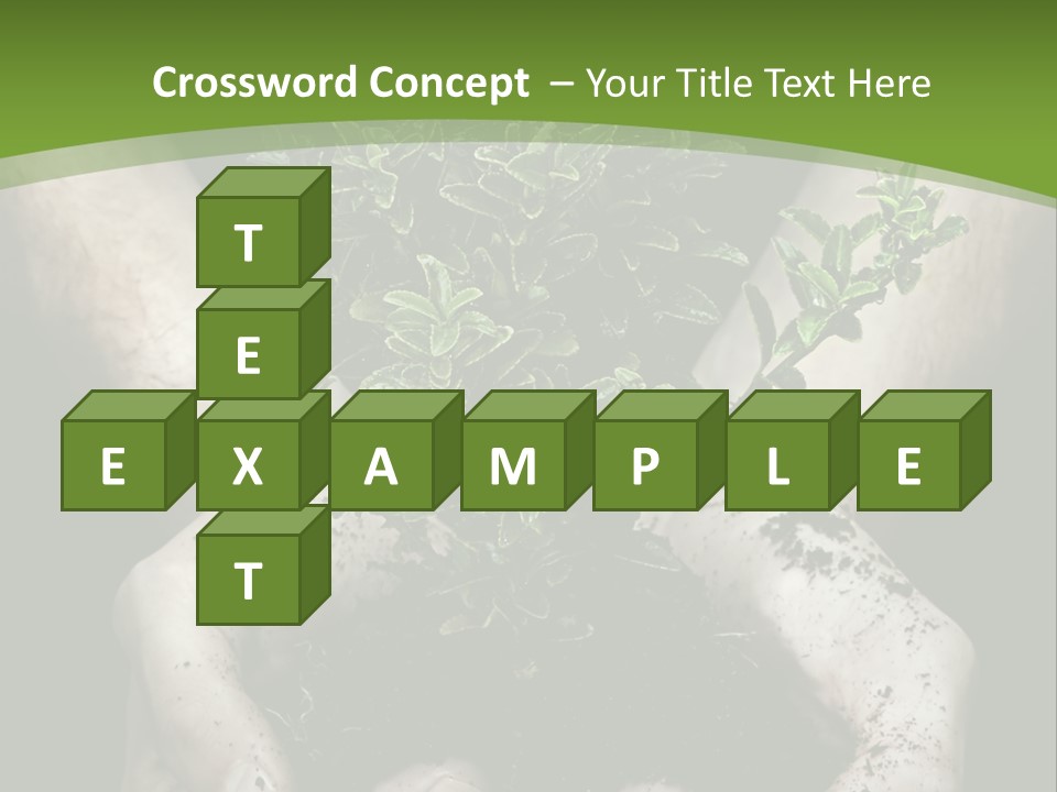 Grow New Life PowerPoint Template