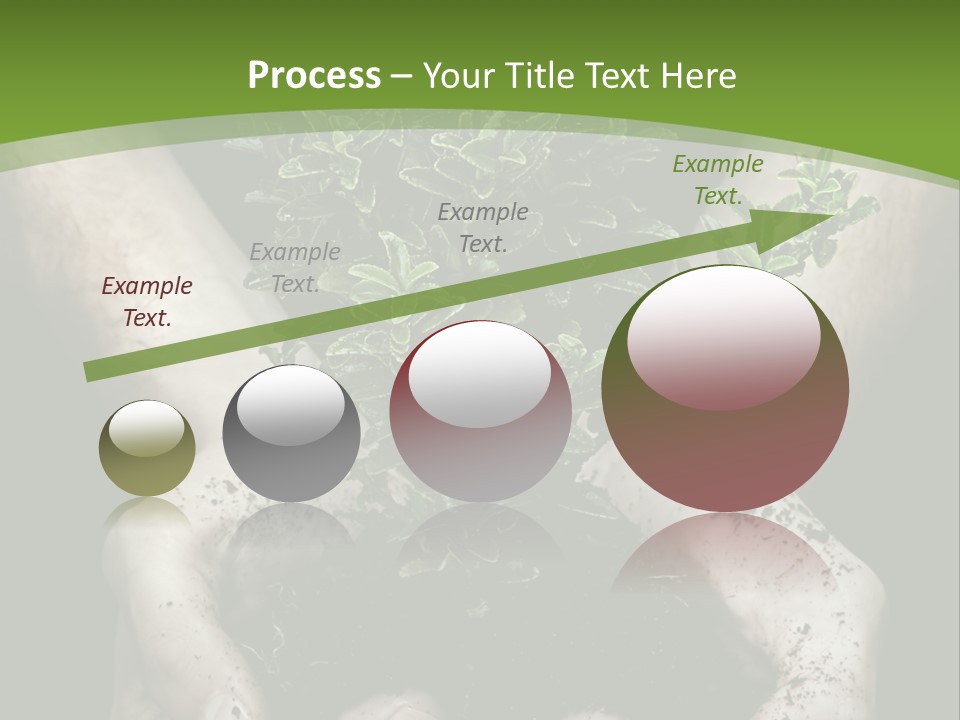 Grow New Life PowerPoint Template