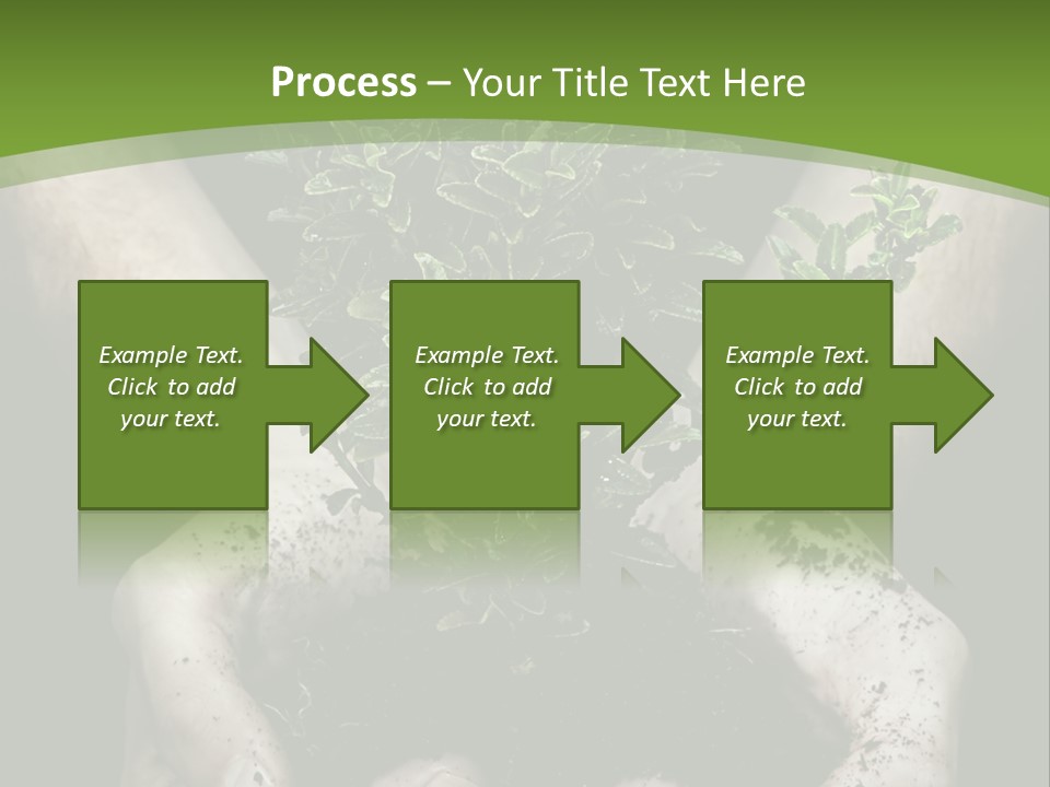 Grow New Life PowerPoint Template