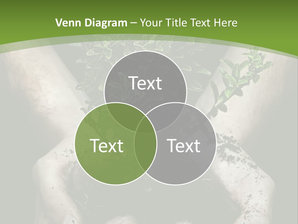 Grow New Life PowerPoint Template