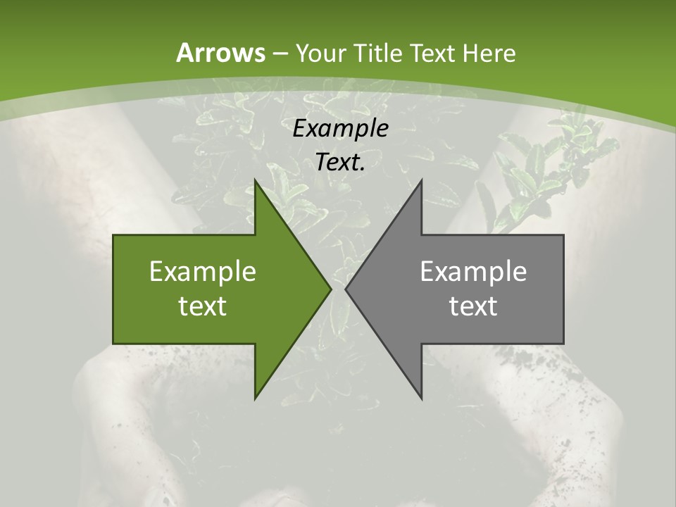 Grow New Life PowerPoint Template