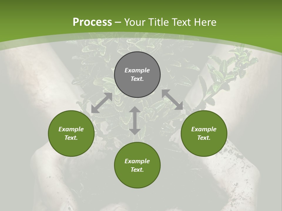 Grow New Life PowerPoint Template