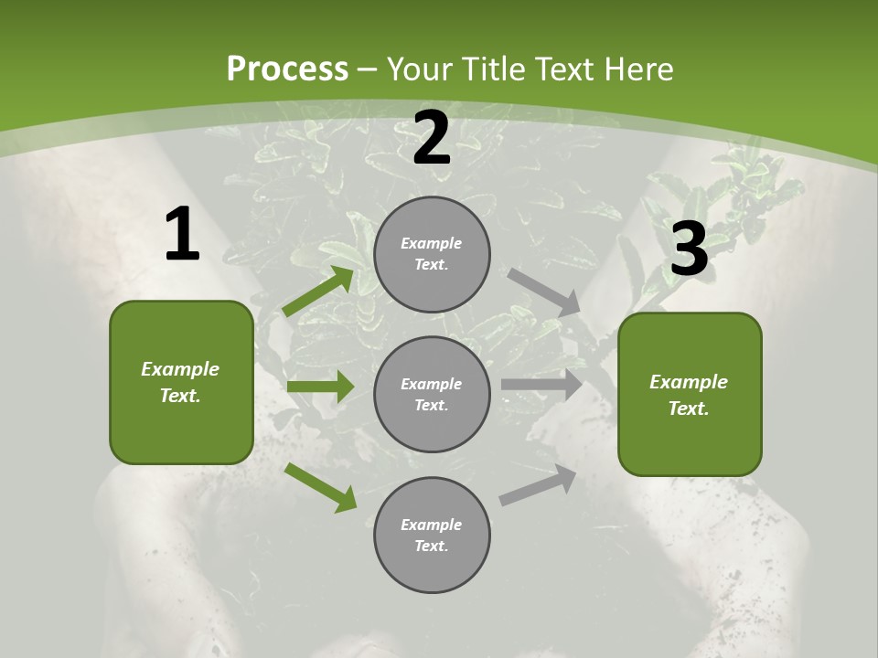 Grow New Life PowerPoint Template