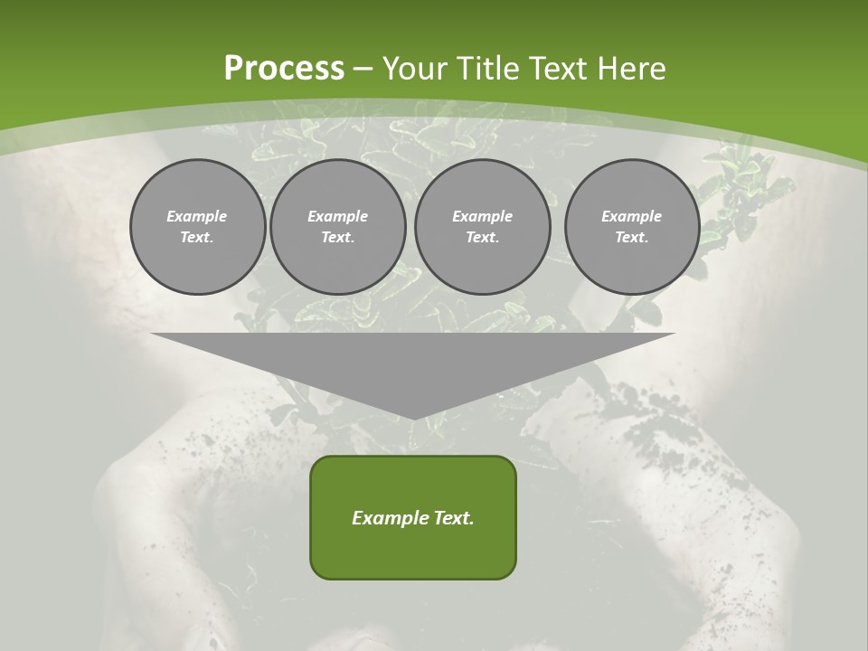 Grow New Life PowerPoint Template