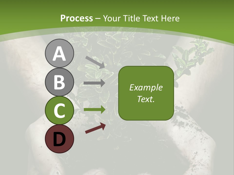 Grow New Life PowerPoint Template