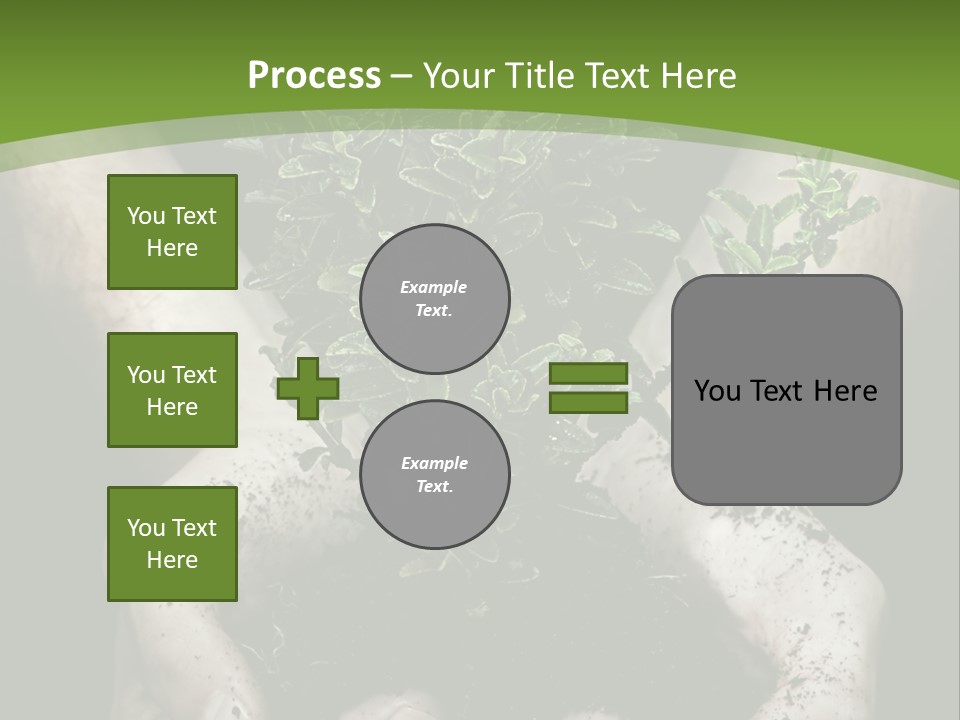 Grow New Life PowerPoint Template