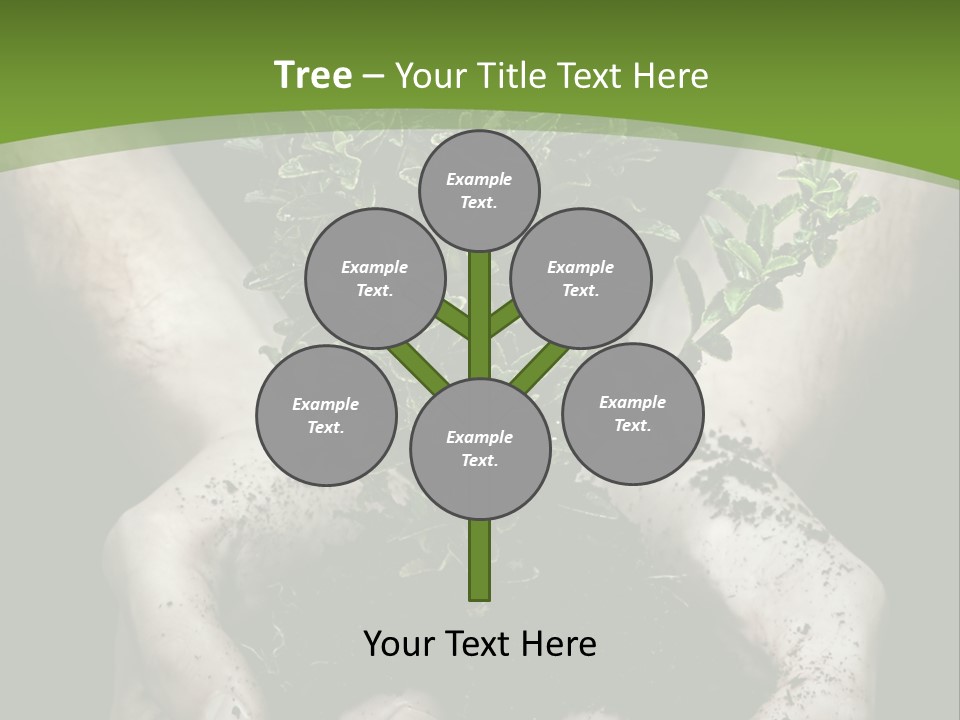 Grow New Life PowerPoint Template