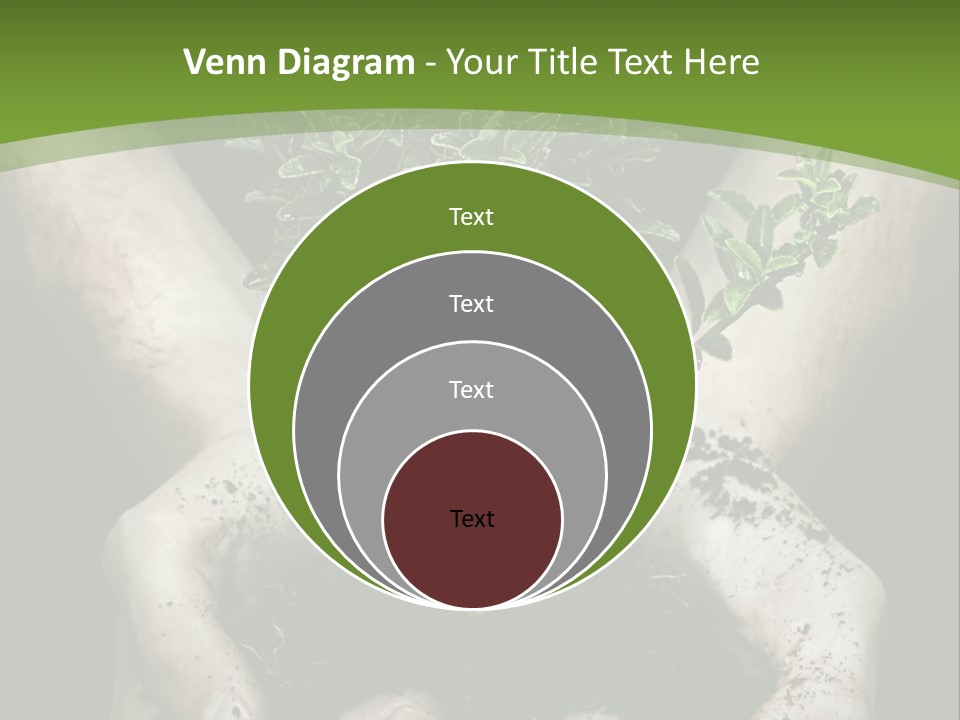 Grow New Life PowerPoint Template