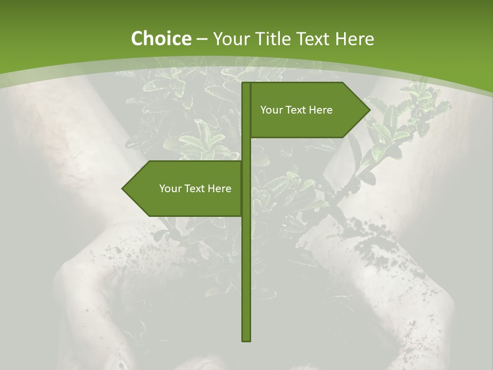 Grow New Life PowerPoint Template