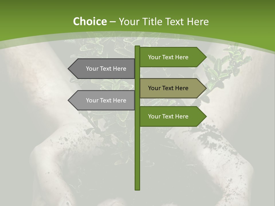 Grow New Life PowerPoint Template