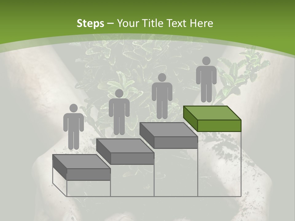 Grow New Life PowerPoint Template