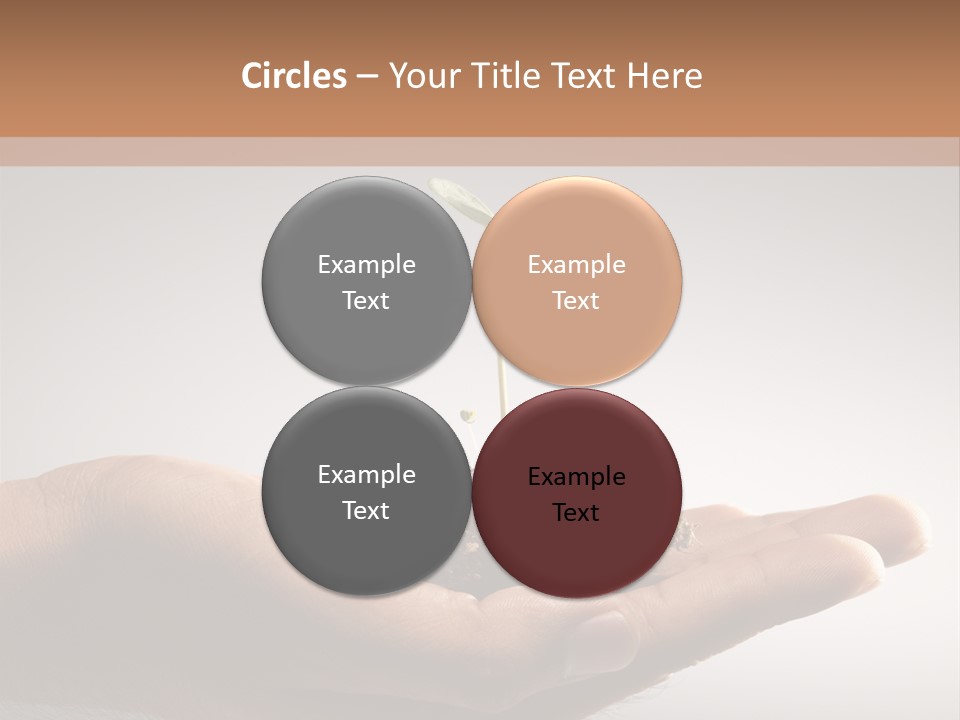 New Life PowerPoint Template