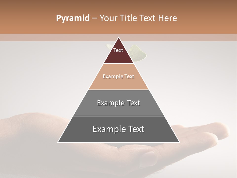 New Life PowerPoint Template