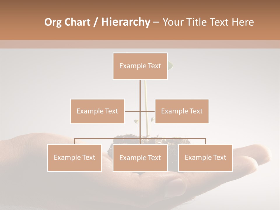 New Life PowerPoint Template
