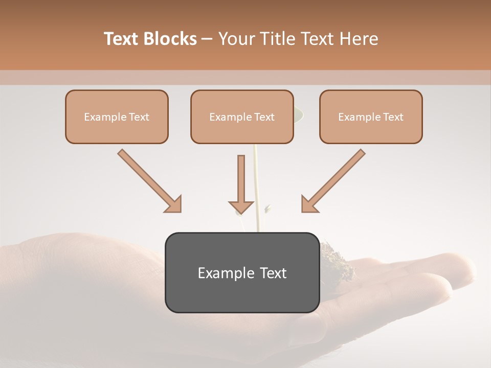 New Life PowerPoint Template