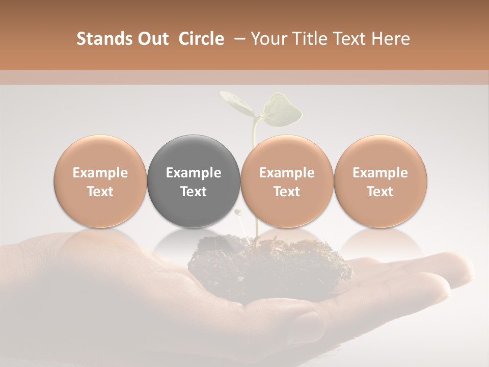 New Life PowerPoint Template