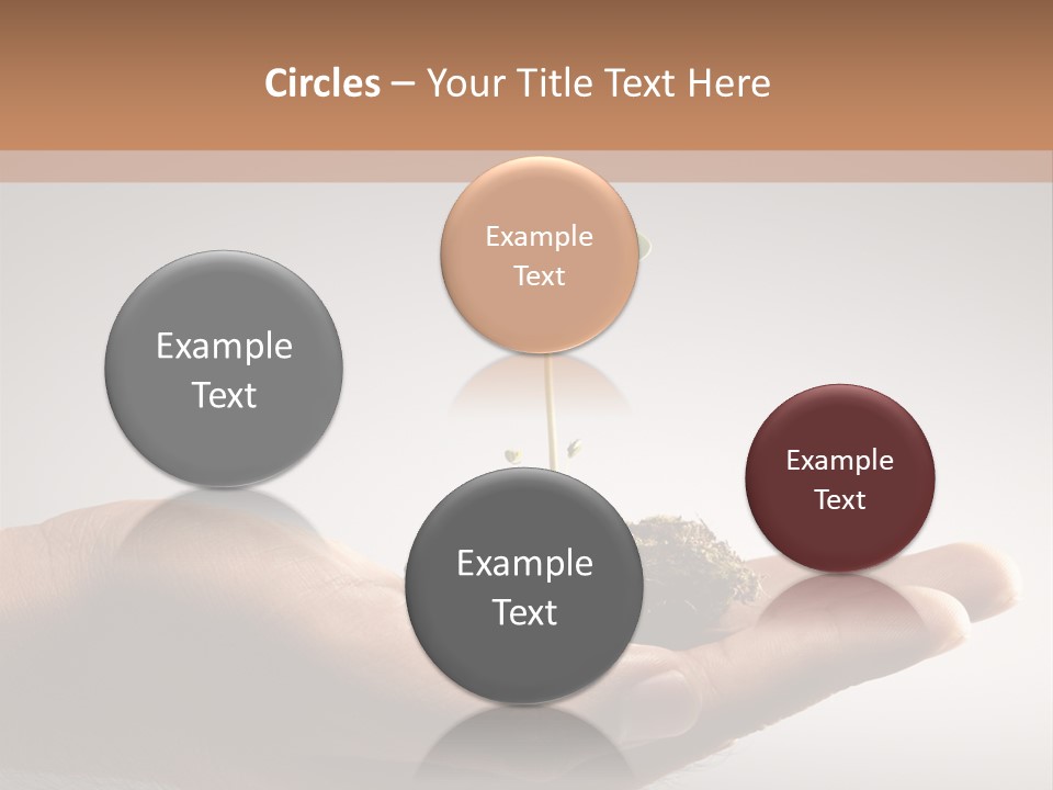 New Life PowerPoint Template