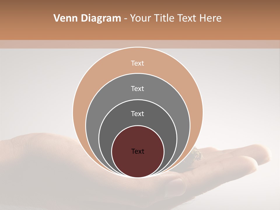 New Life PowerPoint Template