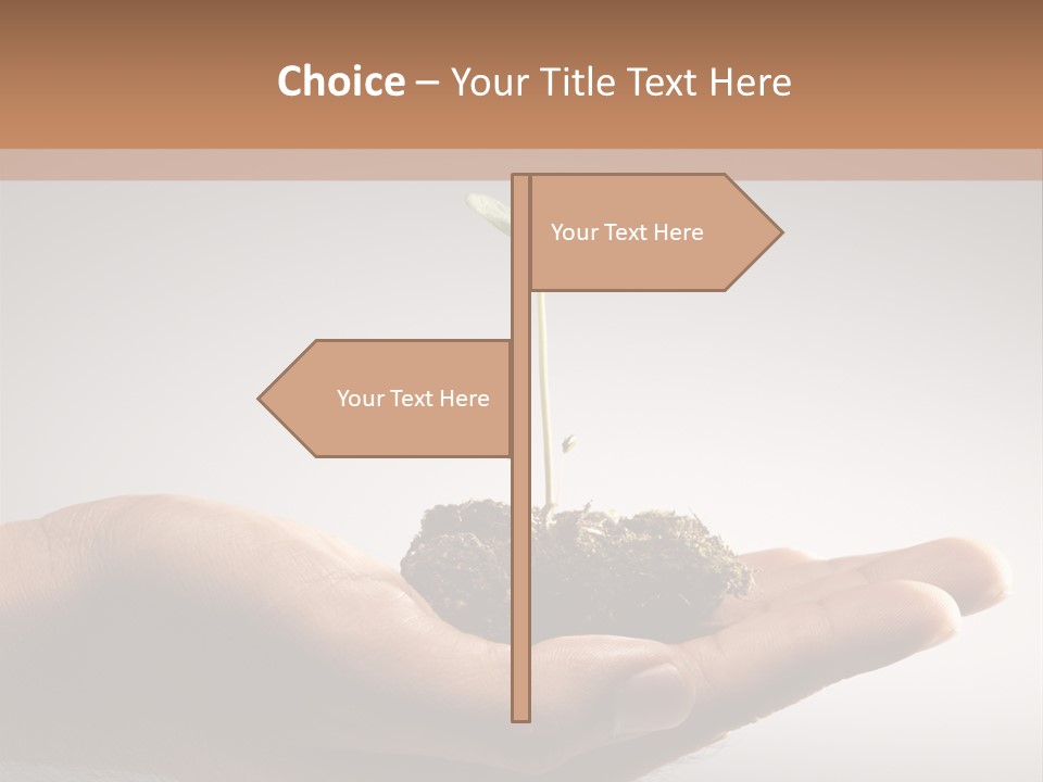 New Life PowerPoint Template