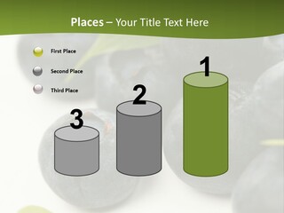 Lokhina PowerPoint Template