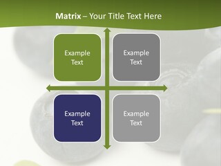 Lokhina PowerPoint Template