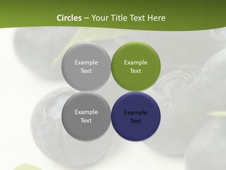Lokhina PowerPoint Template