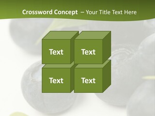 Lokhina PowerPoint Template
