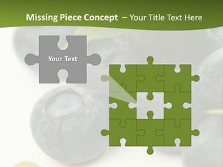 Lokhina PowerPoint Template