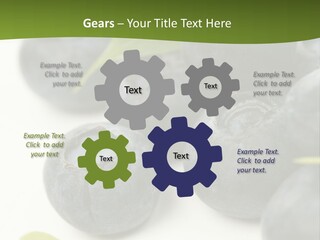 Lokhina PowerPoint Template