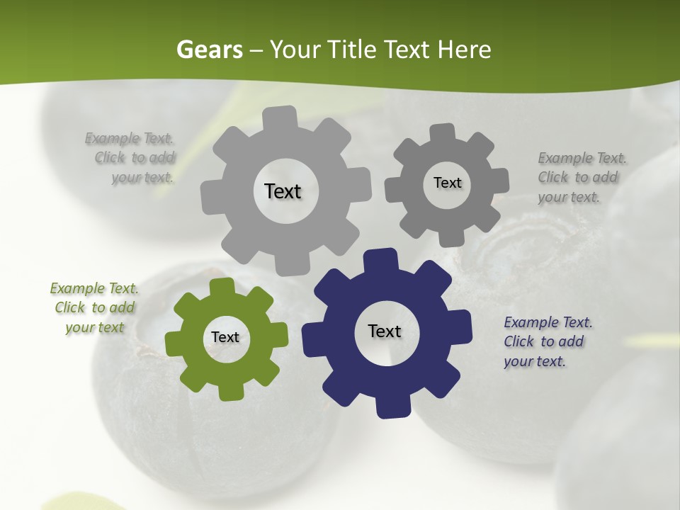Lokhina PowerPoint Template