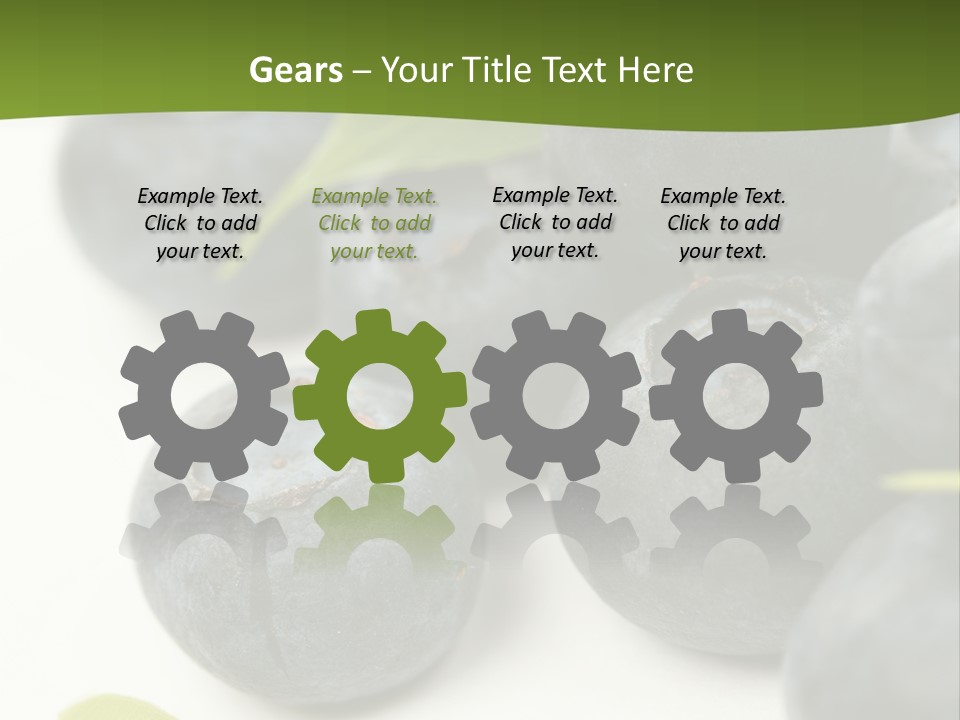 Lokhina PowerPoint Template