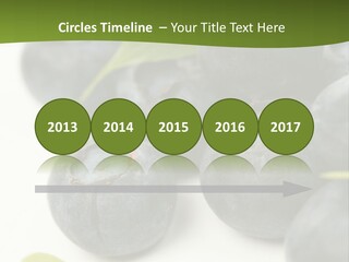 Lokhina PowerPoint Template
