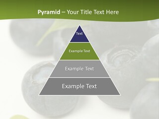 Lokhina PowerPoint Template