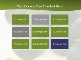 Lokhina PowerPoint Template