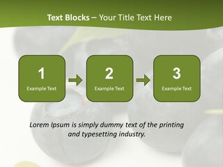Lokhina PowerPoint Template