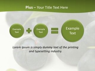 Lokhina PowerPoint Template