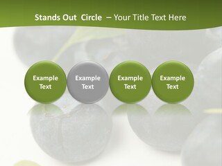 Lokhina PowerPoint Template